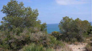 ”’Fuck Fuck Car…in the woOd !!!” with aixmen & gabriela flores !!! (la cubana)