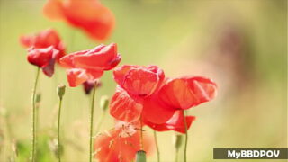 Lexi Dona Fucks Jenny Appach – 4K teaser